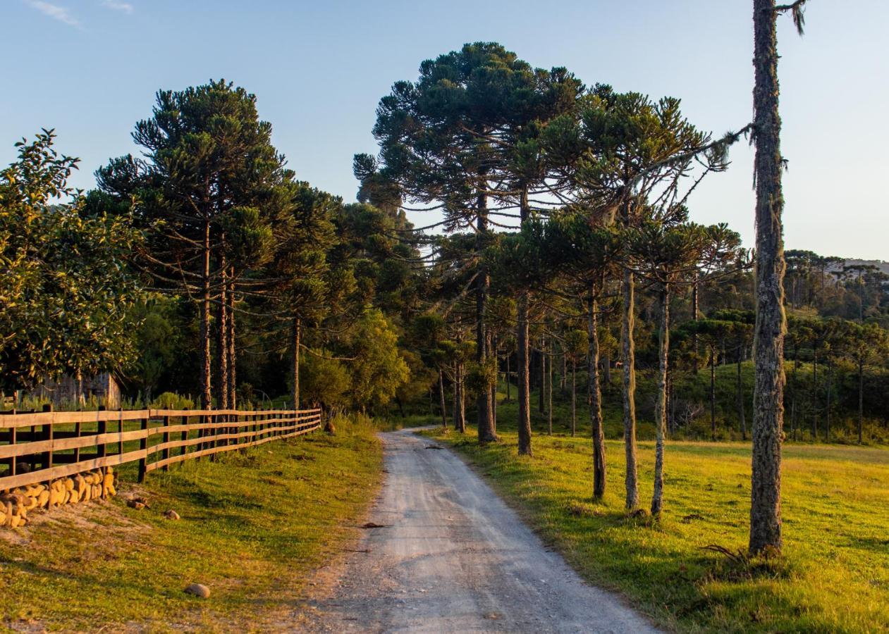 Hospedagem Rural Recanto Do Riacho 우루비시 외부 사진